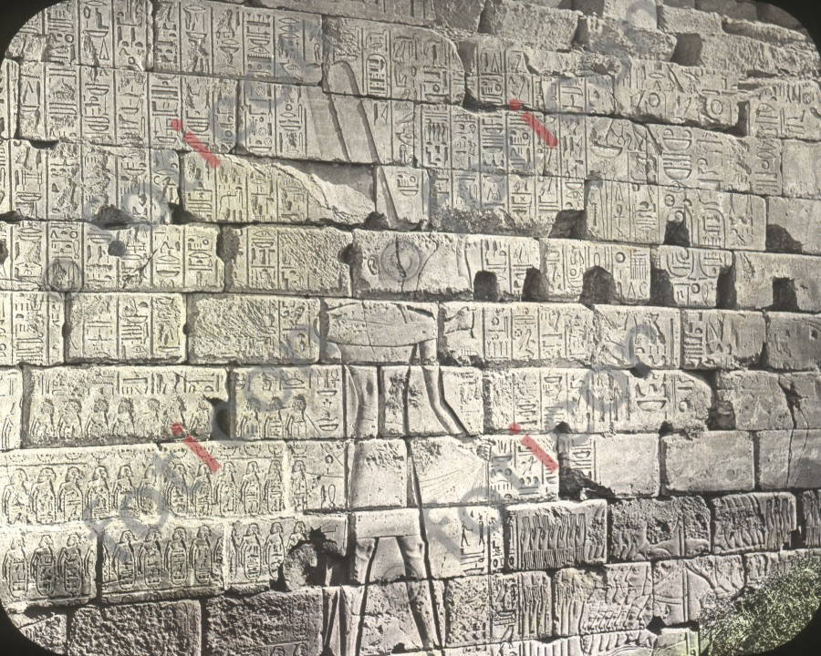 Hieroglyphen an einer Wand am Tempel von  Karnak | Hieroglyphs on a wall at the Temple of Karnak  (foticon-simon-008-048.jpg)